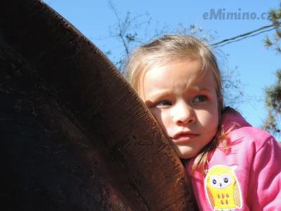 DSCN0701.JPG