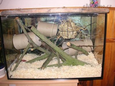 PICT0060.JPG