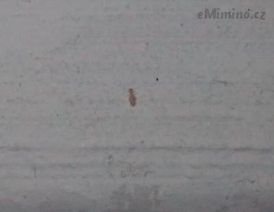 10807948_10201978789909964_934616063_n.jpg