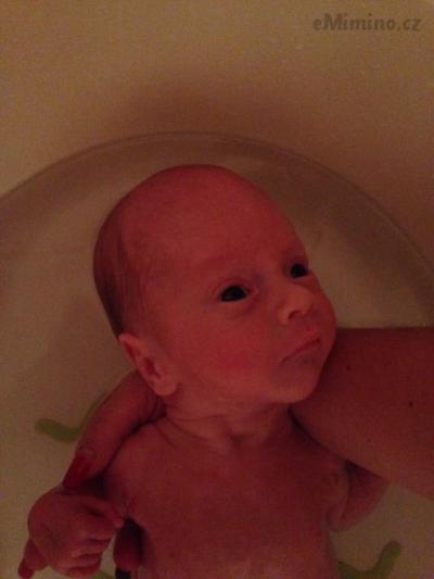 IMG-20141110-WA0006.jpg