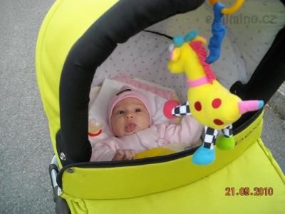 DSCN2410.JPG