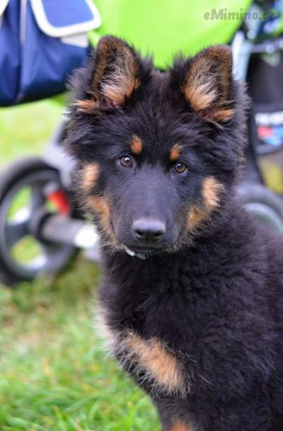 DSC_2568.jpg