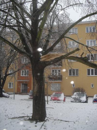 CIMG1727.JPG