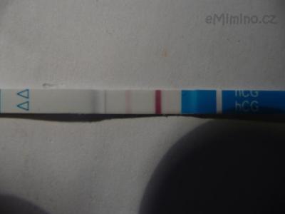 P1050142.JPG