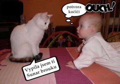 Nepojmenovaný 1.jpg