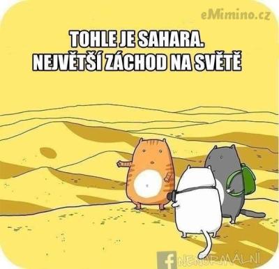 kockysahara.jpg