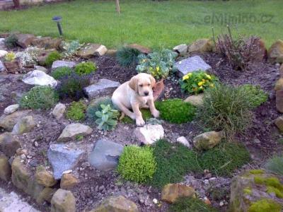 141020101474.jpg