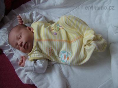 DSCF2022.JPG