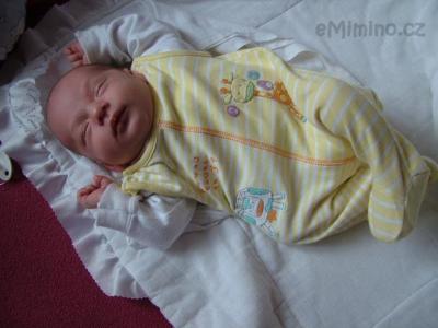 DSCF2023.JPG