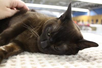 IMG_6789.JPG