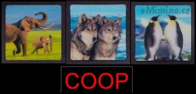 coop.jpg