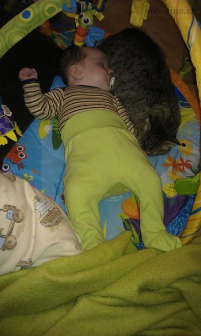 IMAG0112.jpg