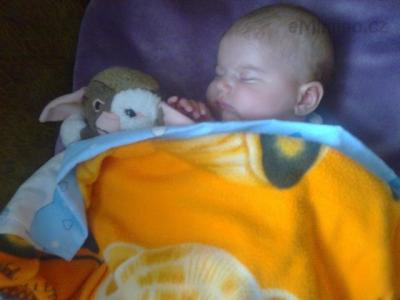 Foto3362.jpg