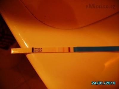 12 dpo  ET.JPG