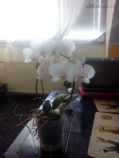 IMG_20150129_115740.jpg