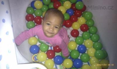 IMAG0332.jpg