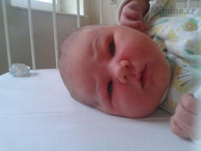 2012-11-22 09.48.14.jpg