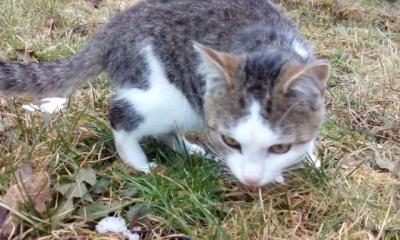 IMG_20150210_135824.jpg
