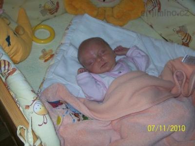 100_3966.JPG