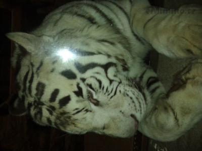 20131204_181137.jpg