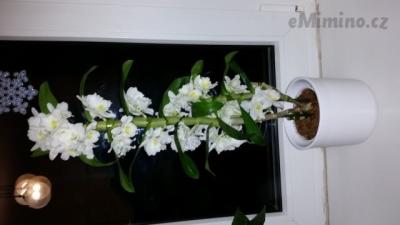 20150114_170224.jpg