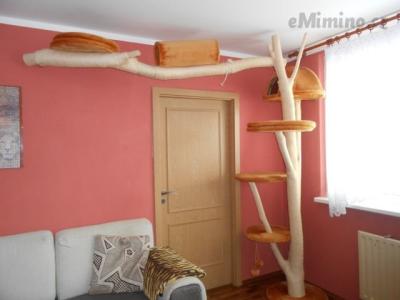 DSCN1430.JPG
