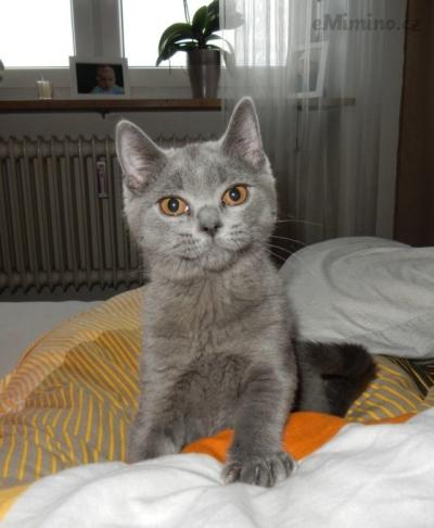 sam04.jpg