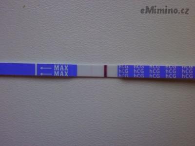2894752.jpg