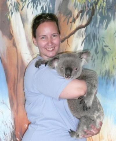 Já a Koala