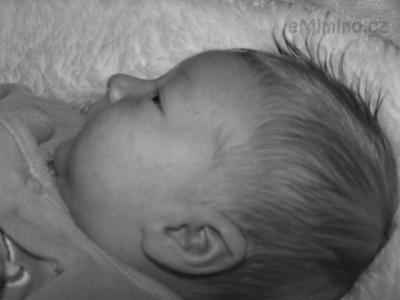 100_5538.JPG