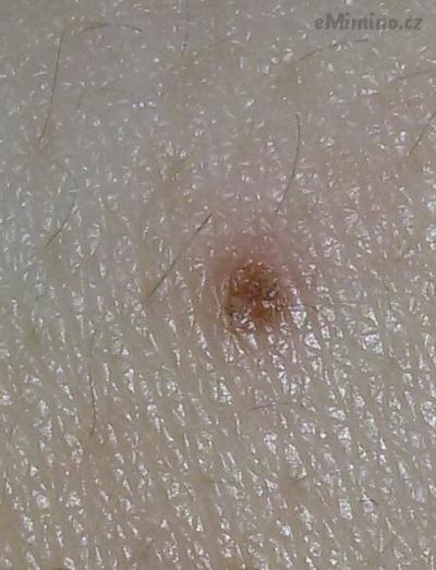 20150321_212804-1.jpg