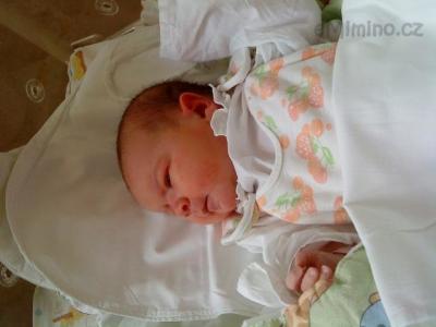 Elen