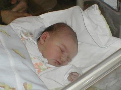 Elen