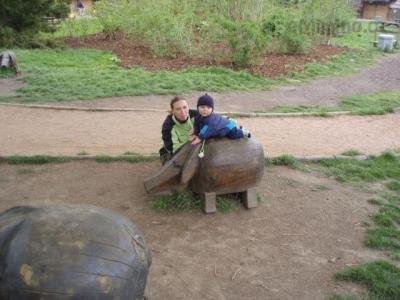 V zoo