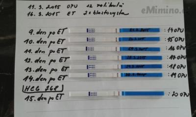 20150331_113810.jpg