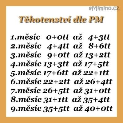 Měsíce těhotenství