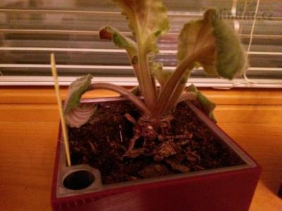 20150407_222627.jpg