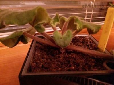 20150407_222642.jpg