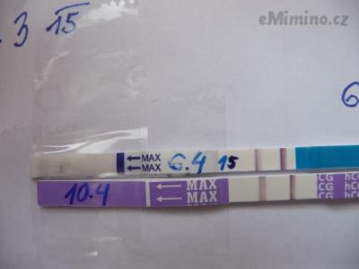 test.JPG