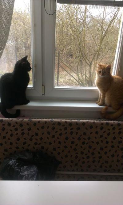 IMAG0861.jpg