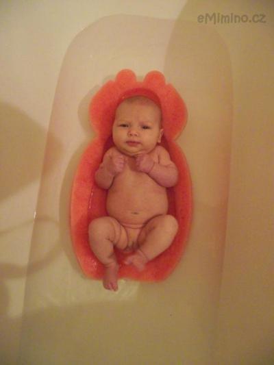 2010_12130007.JPG