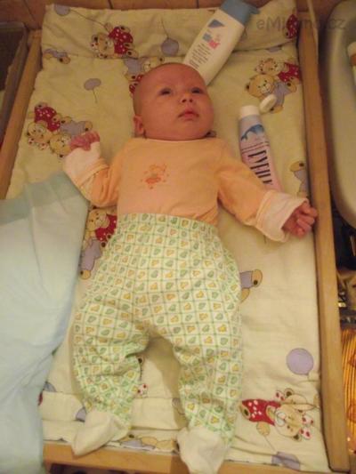 2010_12130012.JPG