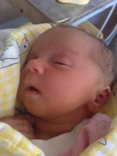 24_10.12.2010.jpg
