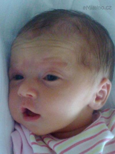 35_11.12.2010.jpg
