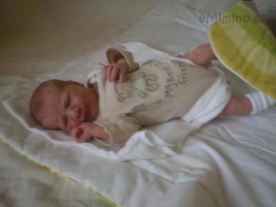 Nikola 6.7.2009