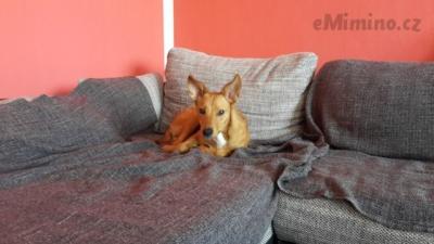 20150324_084452.jpg