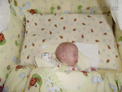 adelka 004.jpg