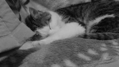 DSCN0227.JPG