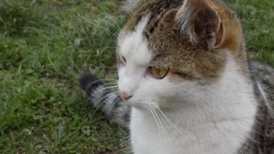 DSCN0436.JPG