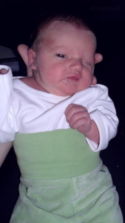 sofinka2010 009.jpg